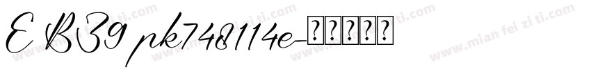 E BZ9 pk748114e字体转换